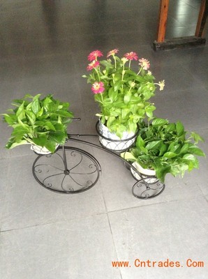 客家園藝 專業室內花木租擺，綠化植物租賃首選