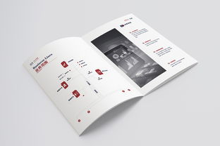 信息咨詢服務(wù)畫冊 您的專業(yè)導(dǎo)航與智慧伙伴